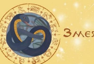 Змея Овен: характер, любовь, совместимость, работа, таланты Рожденный в год змеи под знаком овна